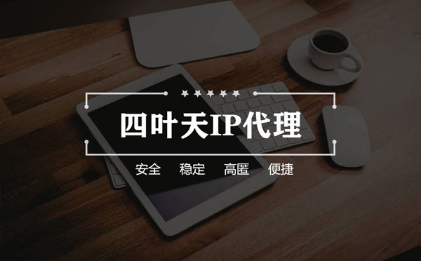 【大庆代理IP】如何快速搭建代理IP？怎么检查代理的效果？